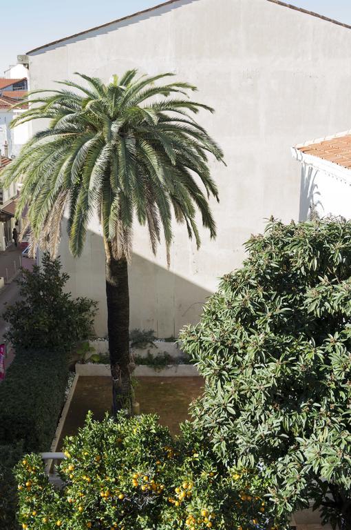 Appartement Cannes Rue Marceau Phòng bức ảnh